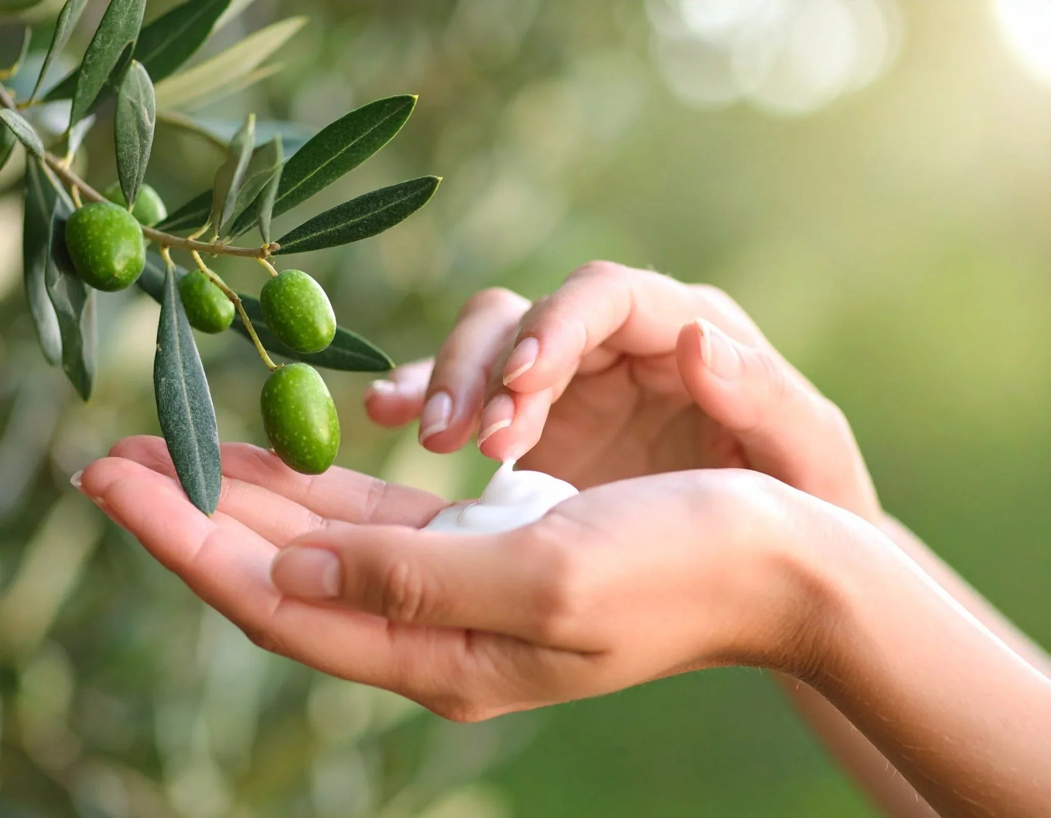 El poder del aceite de oliva para la piel: tradición turca y beneficios modernos